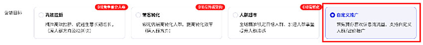 营销目标：自定义推广